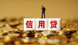 成都16哪有个人借贷-成都16小额贷款公司-成都16私借空放免费上门